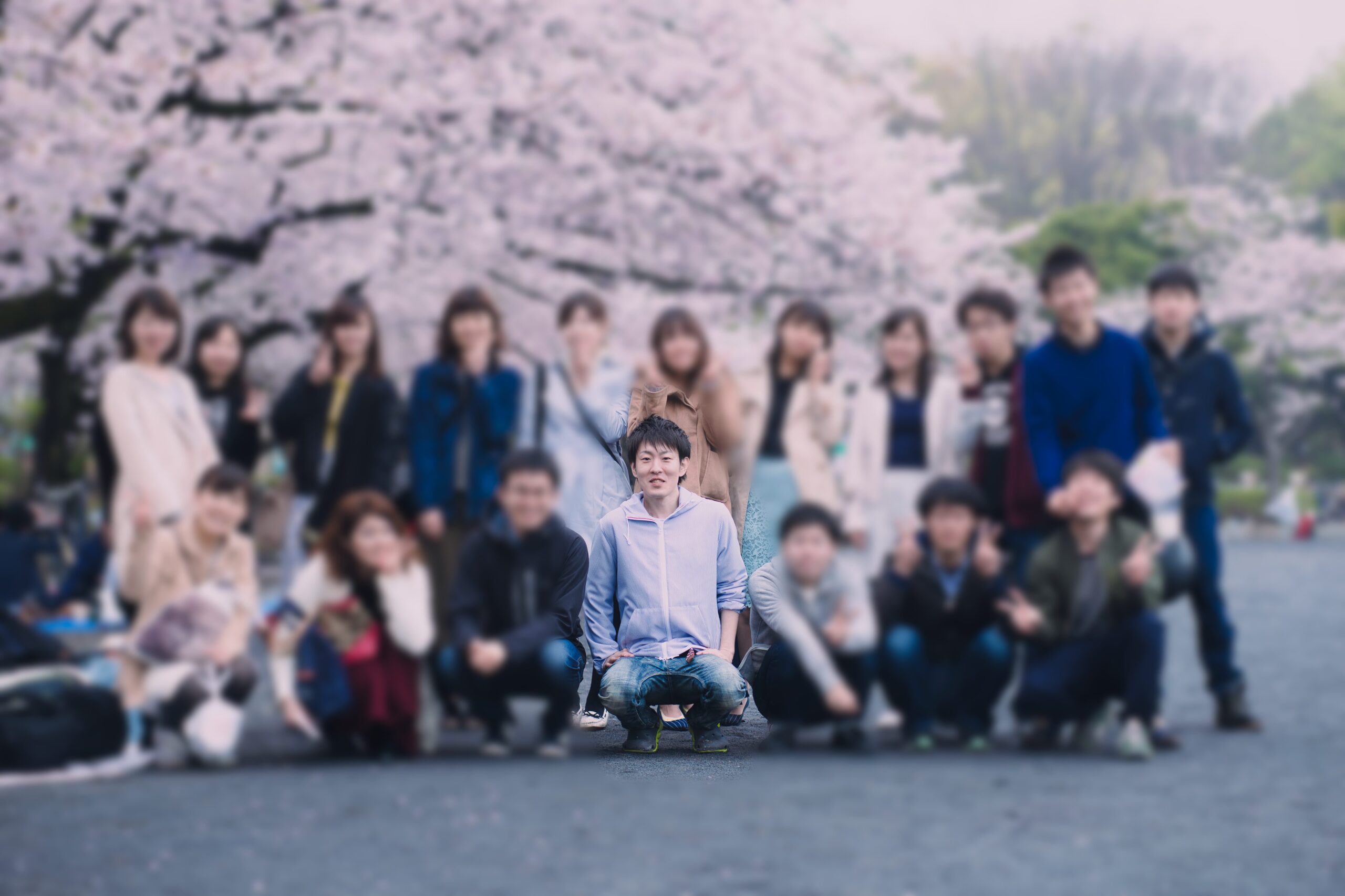 サークルのお花見の写真